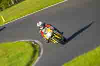cadwell-no-limits-trackday;cadwell-park;cadwell-park-photographs;cadwell-trackday-photographs;enduro-digital-images;event-digital-images;eventdigitalimages;no-limits-trackdays;peter-wileman-photography;racing-digital-images;trackday-digital-images;trackday-photos